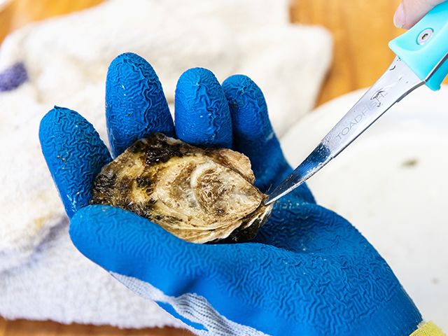 Oyster Shucking & Tasting Class