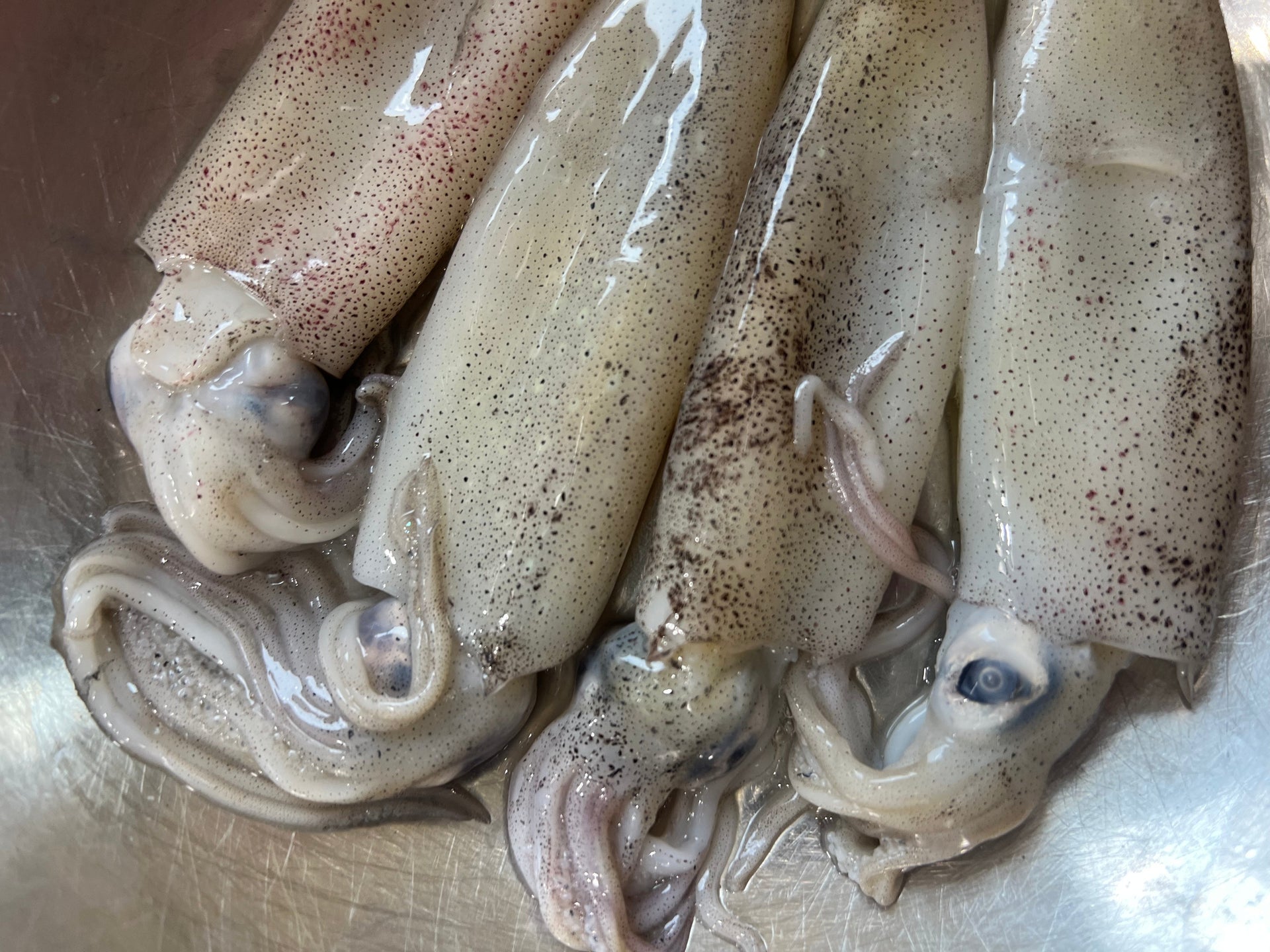 How to Clean and Prep Squid
