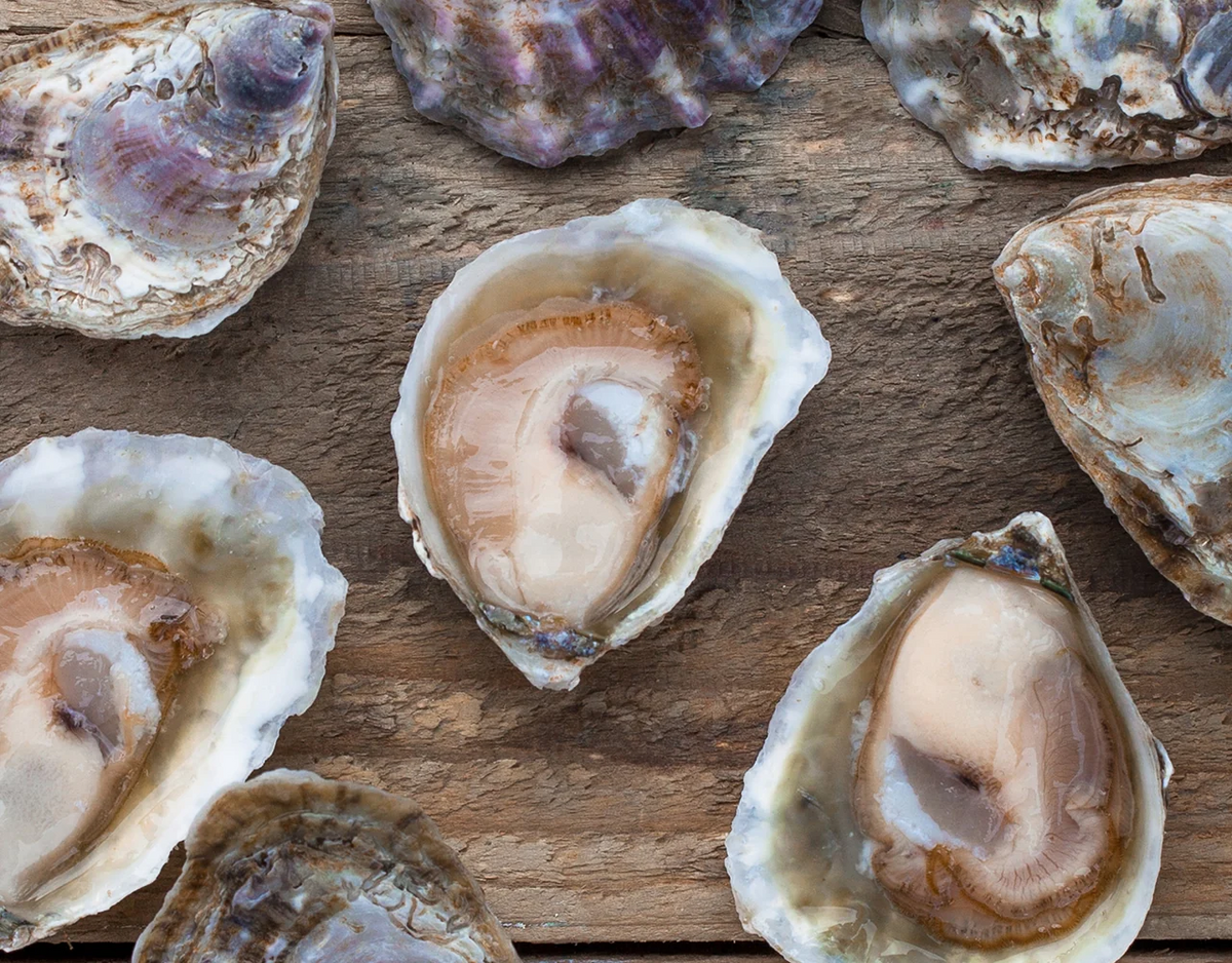 Olympia Oysters_ the West Coast native.