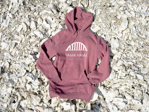 Pink Pullover Bridge Hoodie