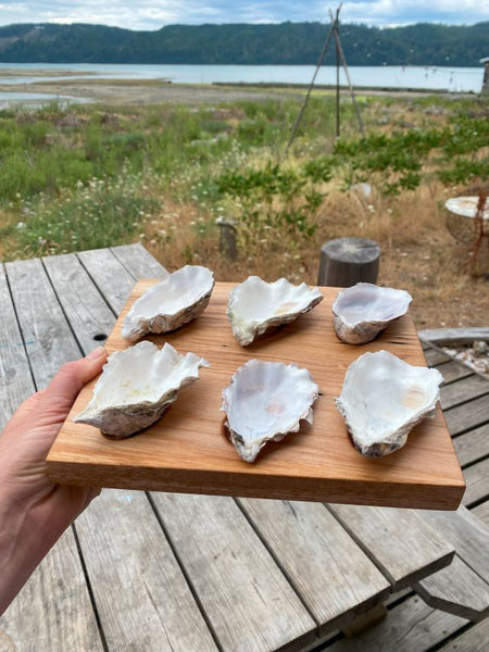 Oyster Board