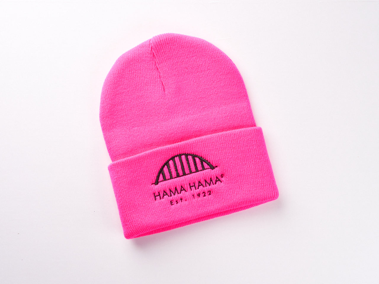 Bridge Beanie