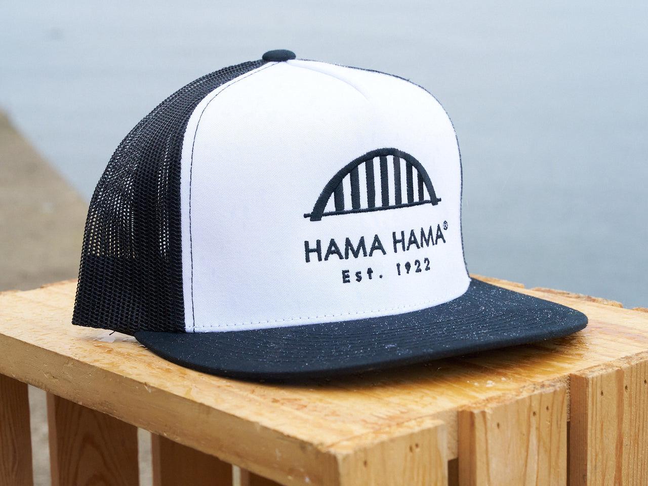 Vintage B&W Trucker Hat