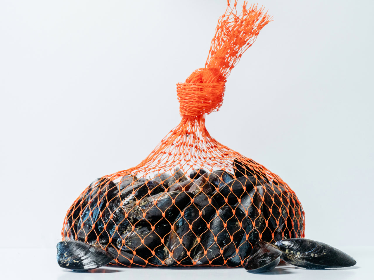 Mussels