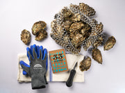 Oysters, gloves, knife, and a card on a white background