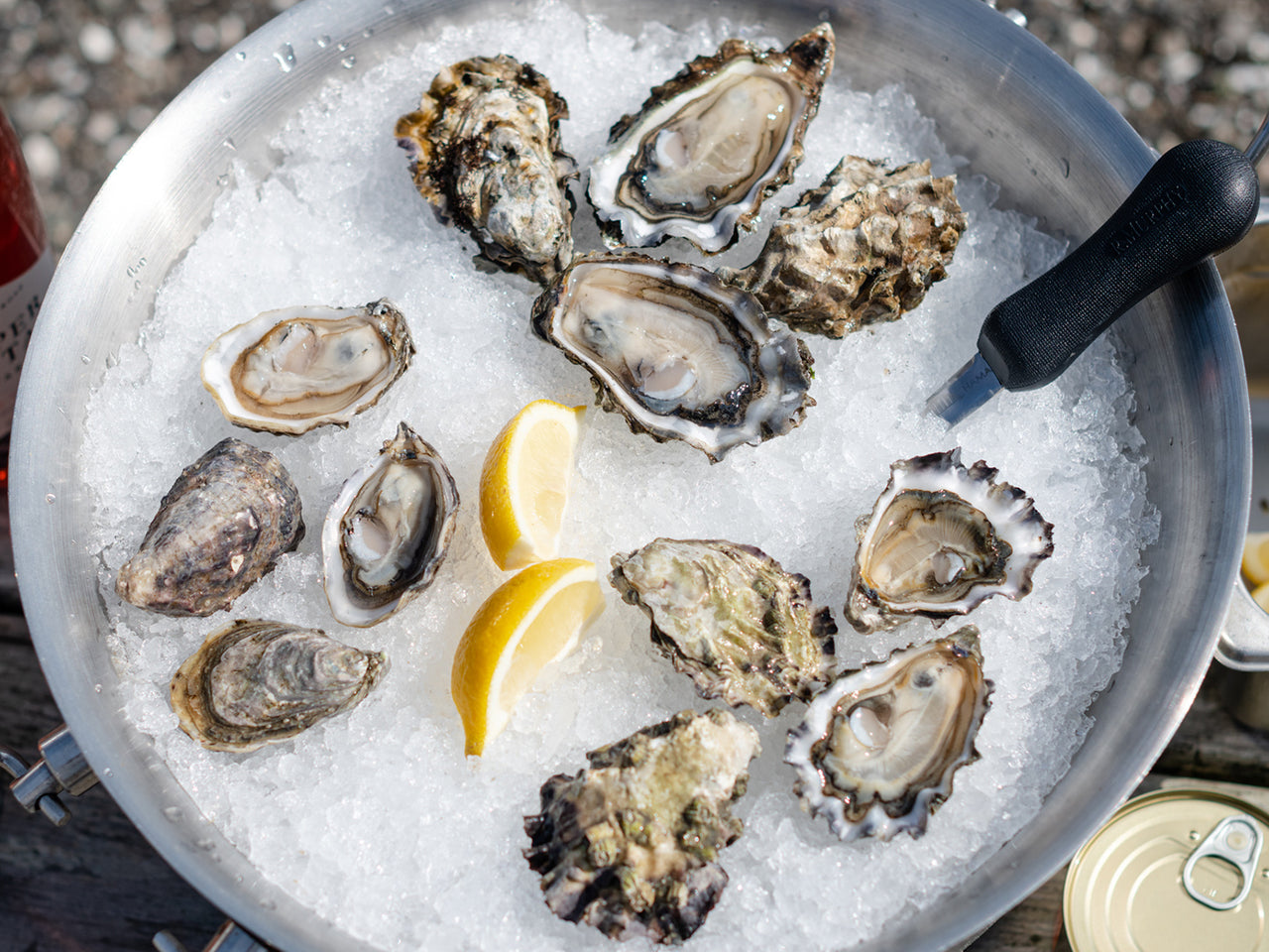 Oyster Subscription (3 months)