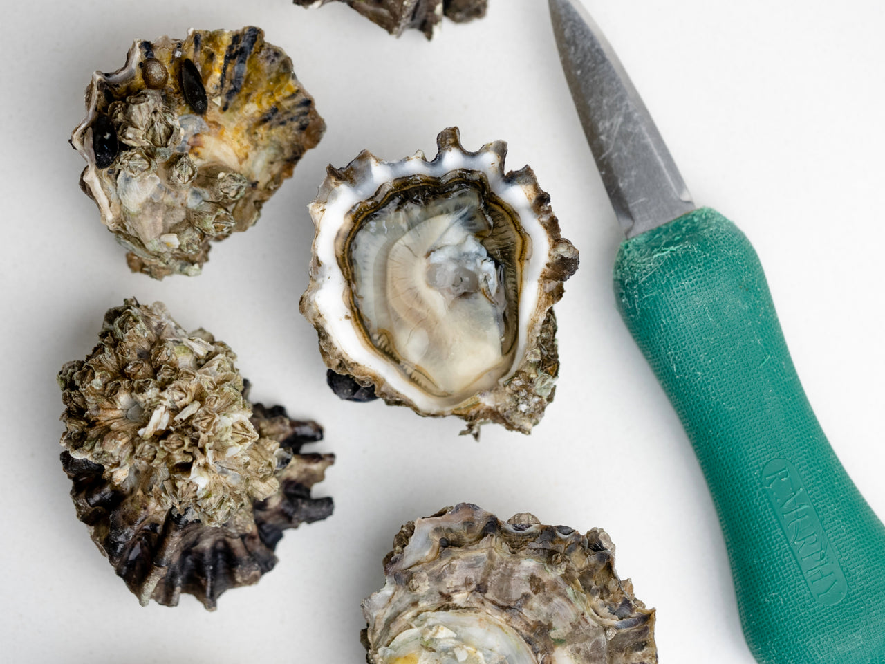 Hamamoto Farm Sampler