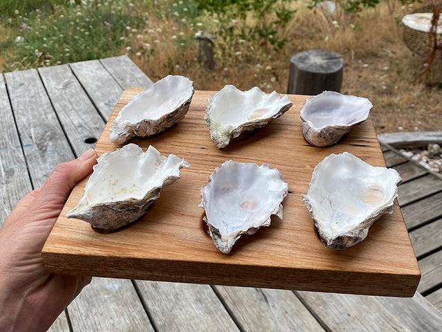 Oyster Board