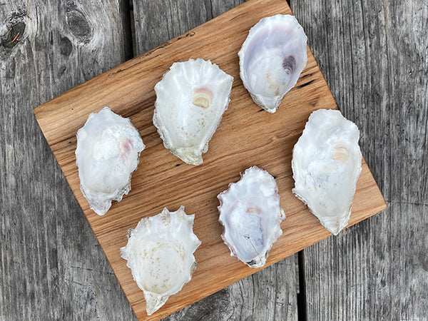 Oyster Board