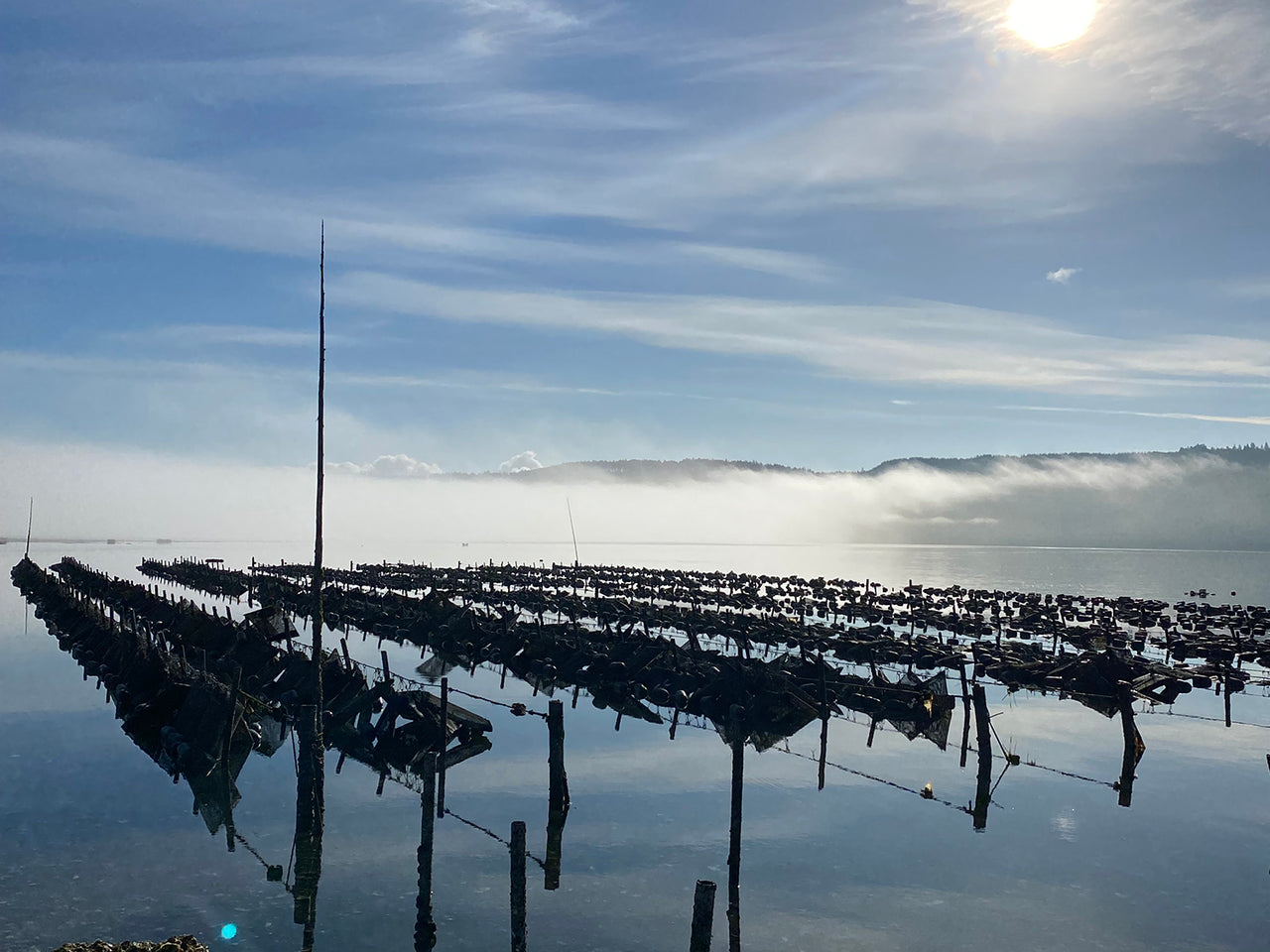 Tumbled Oyster Farm Sampler