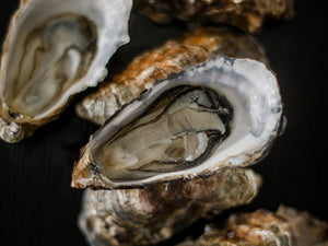 Hove Cove Oysters