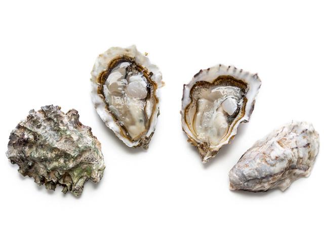 Oysters - Farm Sampler