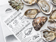 Oysters - Farm Sampler