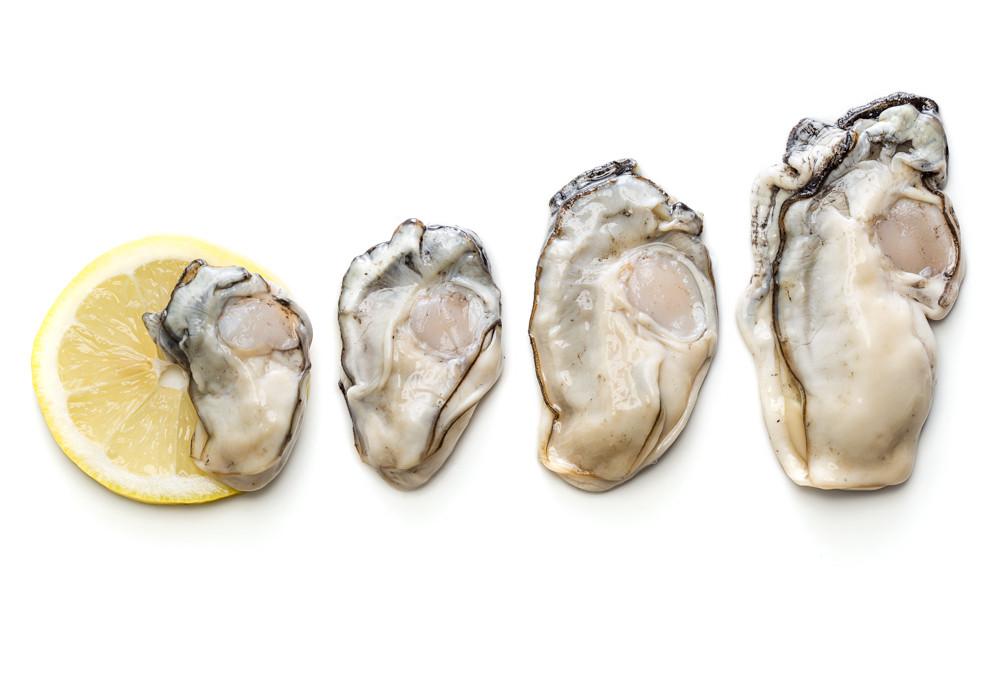 Oysters - Shucked Oysters By The Pint