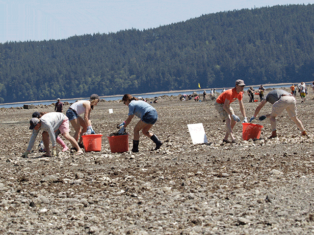 Rama - 2018 Rama: Shuckathalon