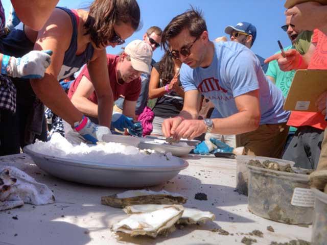 Rama - 2018 Rama: Shuckathalon