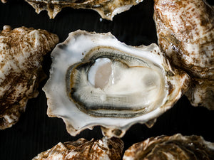 Eld Inlet Oysters