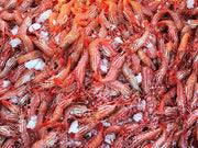 Hood Canal Spot Prawns - Frozen 1/2 Lb Tails